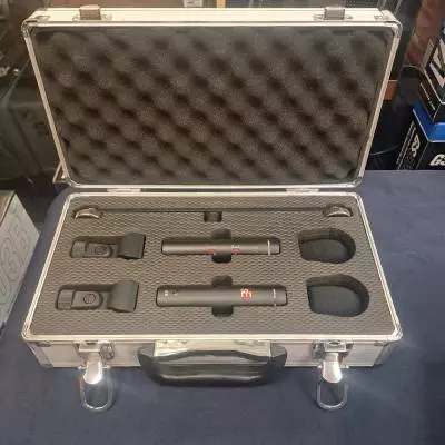 sE Electronics -SE8SP